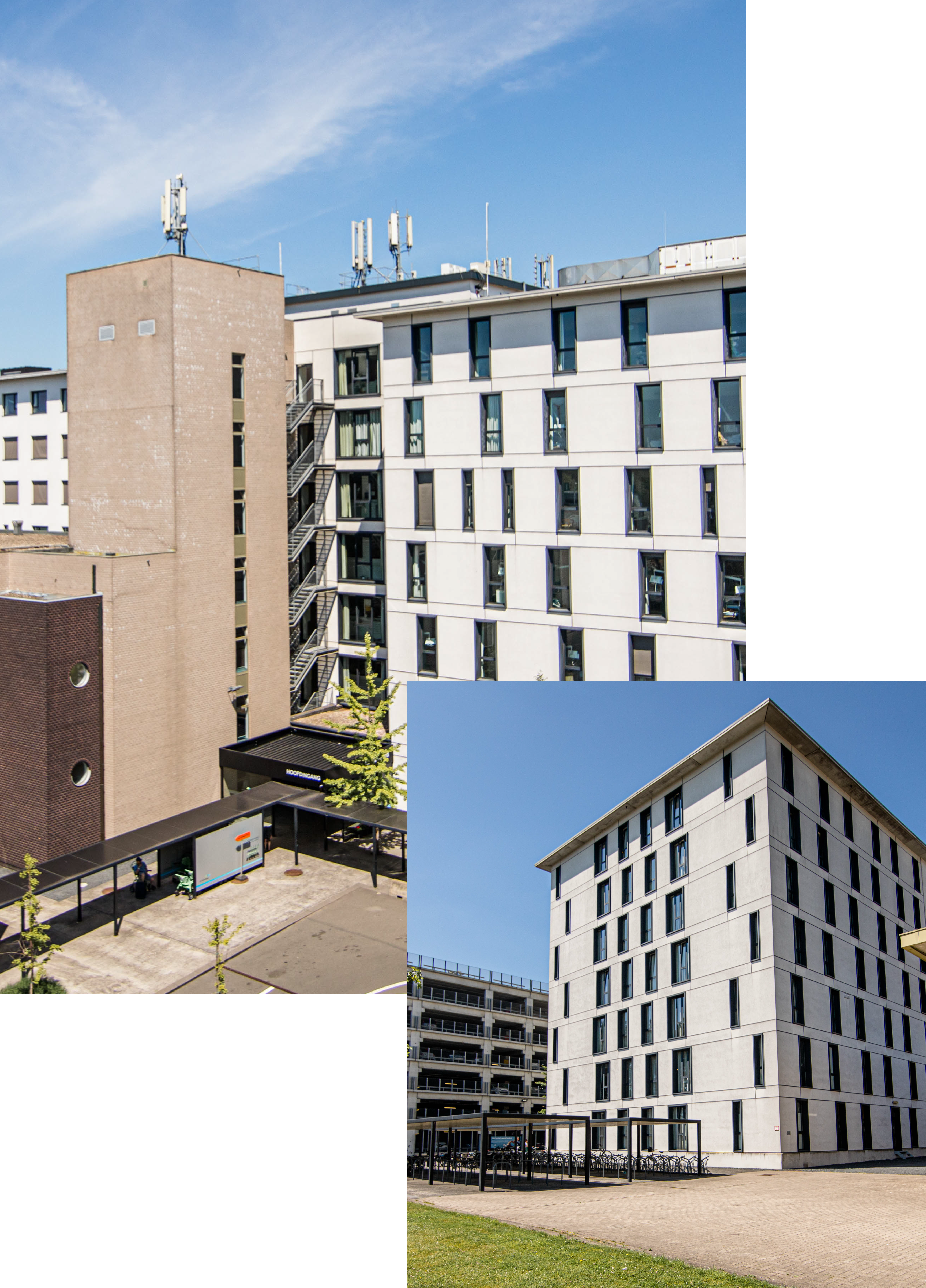 AZ Turnhout